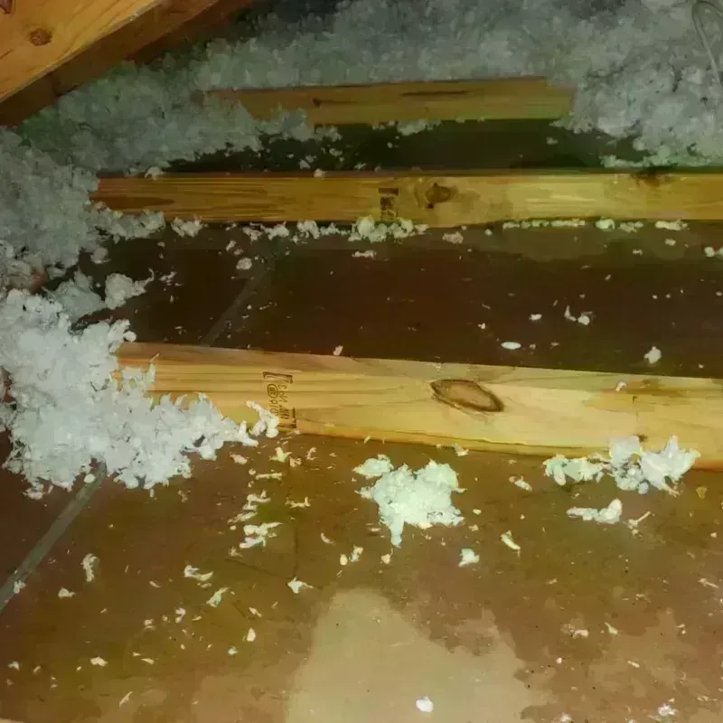 Attic Water Damage in Sabetha, KS